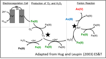 Reactions ocurring in Iron EC